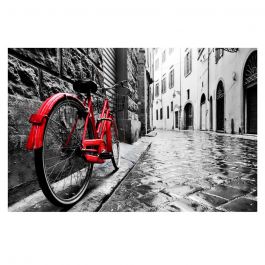 The Red Bike Tempered Glass Wall Art